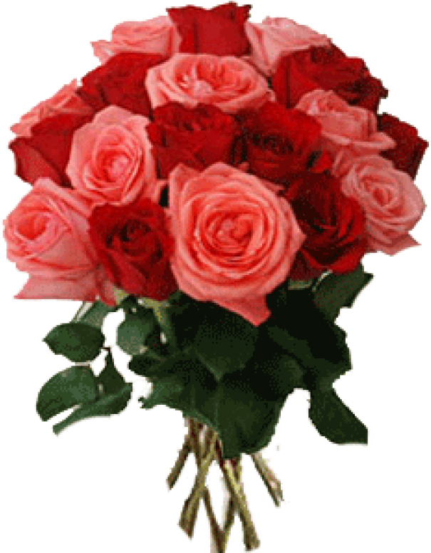 Bos Rode Rozen (780x975)