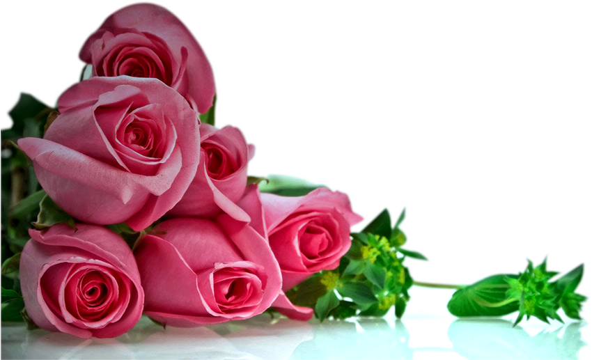 Download Png Image Report - Happy Wedding Anniversary Flowers (900x563)
