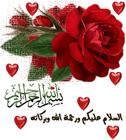 Arabic Daily Scraps - Arabic Good Morning Gif (442x490)