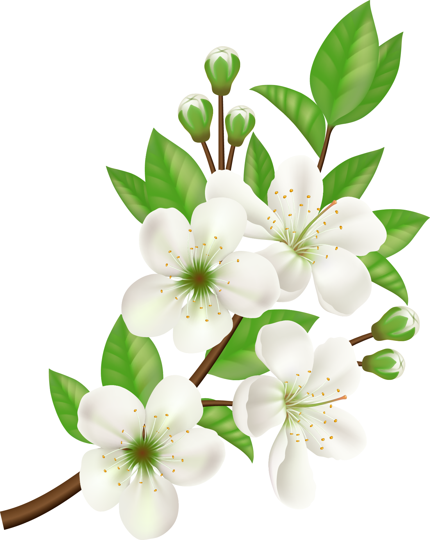 Royalty-free Computer Icons Flower - White Flower Vector Png (1479x1855)