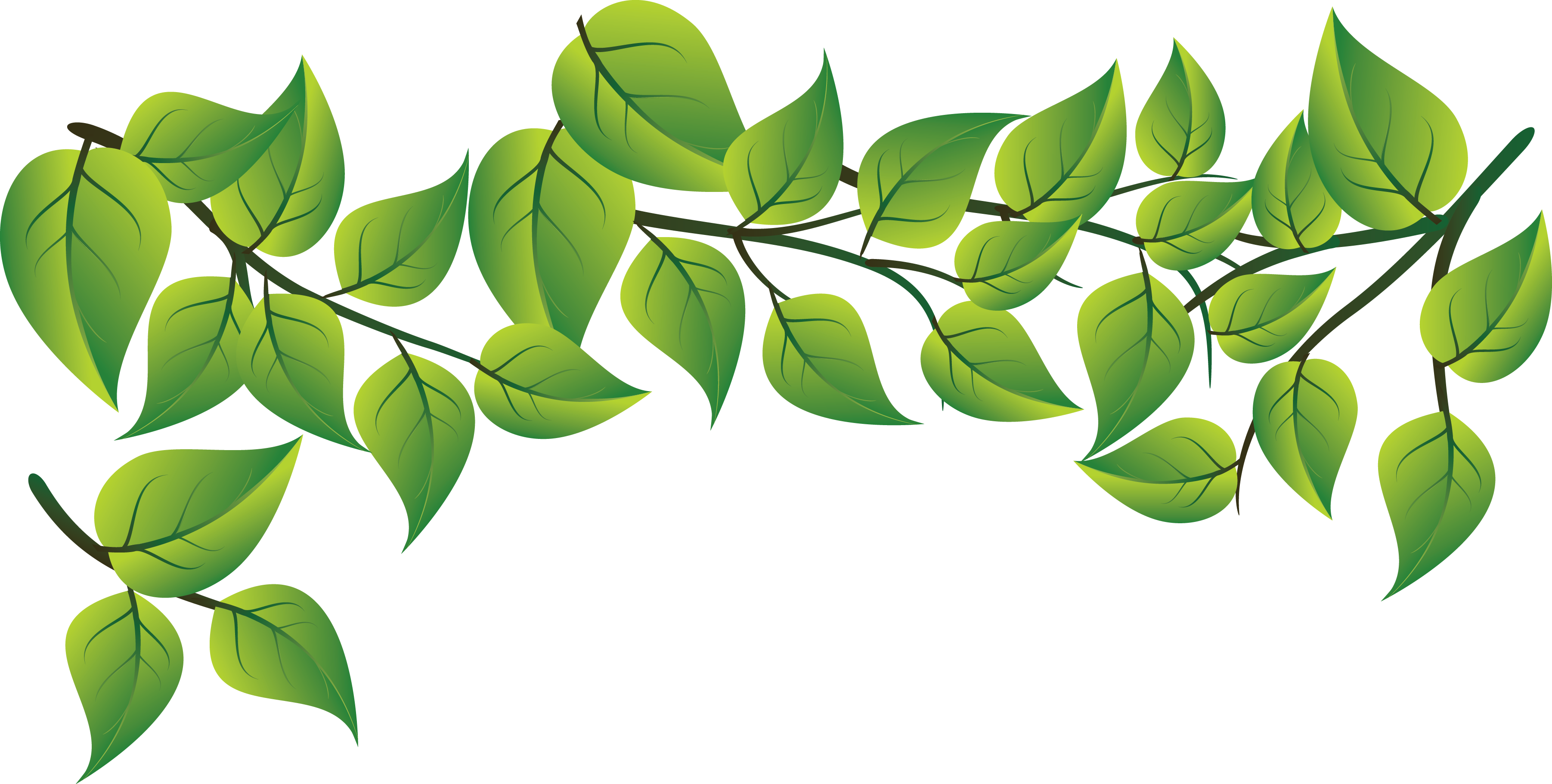 Fashion Fresh Green Leaves Vector 3605*1822 Transprent - Green Leaves Vector Png (3605x1822)
