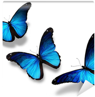 Three Blue Butterflies Flying, Isolated On White Wall - Blue Butterflies (400x400)
