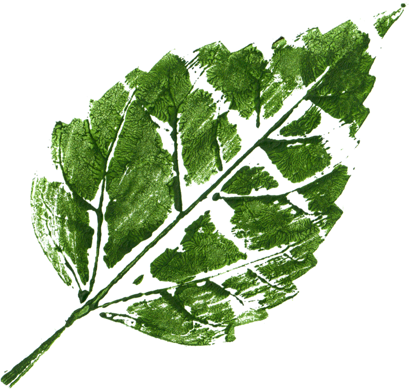 Free Download - Collard Greens (800x760)