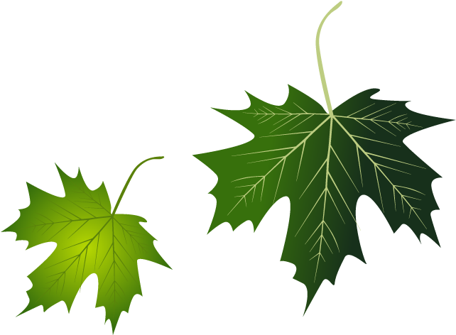 Grape Leaves Leaf - Yedi Harf Yalnızlığı Abdurrahman Adıyan İbrişim Kitap (800x800)