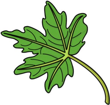 Maple Leaf - Fall Leaves Clip Art (420x420)