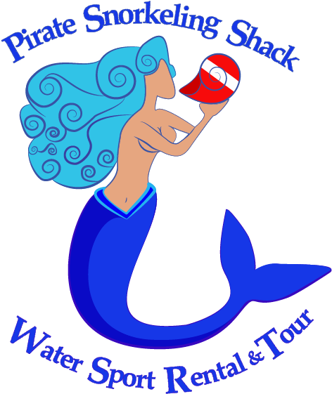 Snorkeling Gear, Kayak, Sup, Gopro Rentals & Tours - Snorkeling Gear, Kayak, Sup, Gopro Rentals & Tours (480x581)