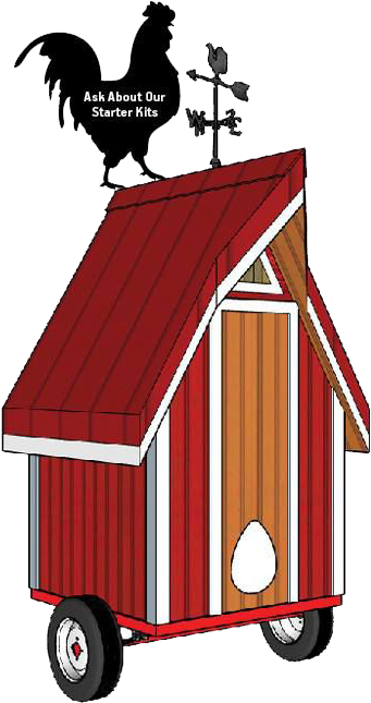 Silkie Dracut Cartoon Chicken Coop - Cartoon (719x719)