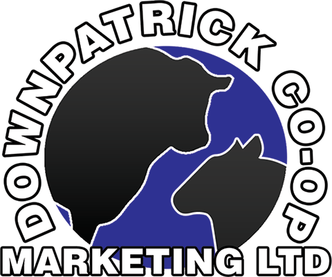 Downpatrick Co-operative Marketing (480x401)
