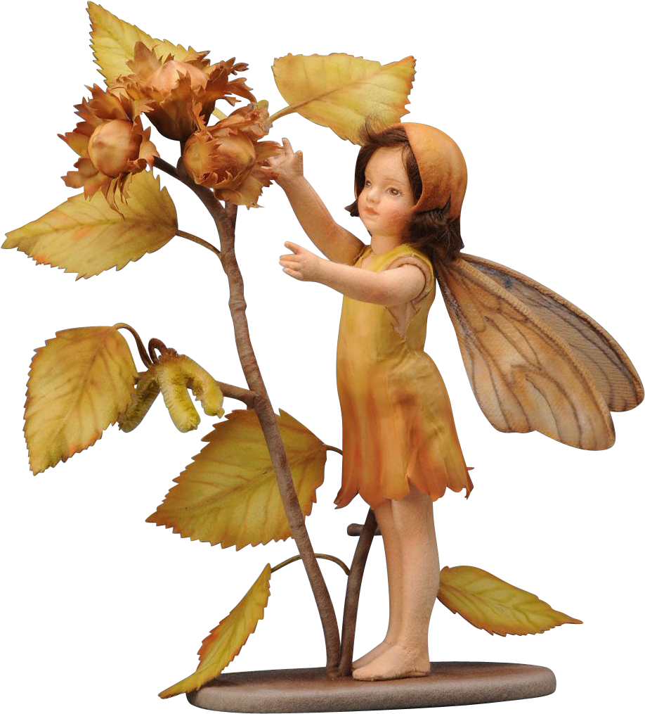 John Wright Flower Fairies Of Autumn Hazel-nut Fairy - Fairy (1014x1014)