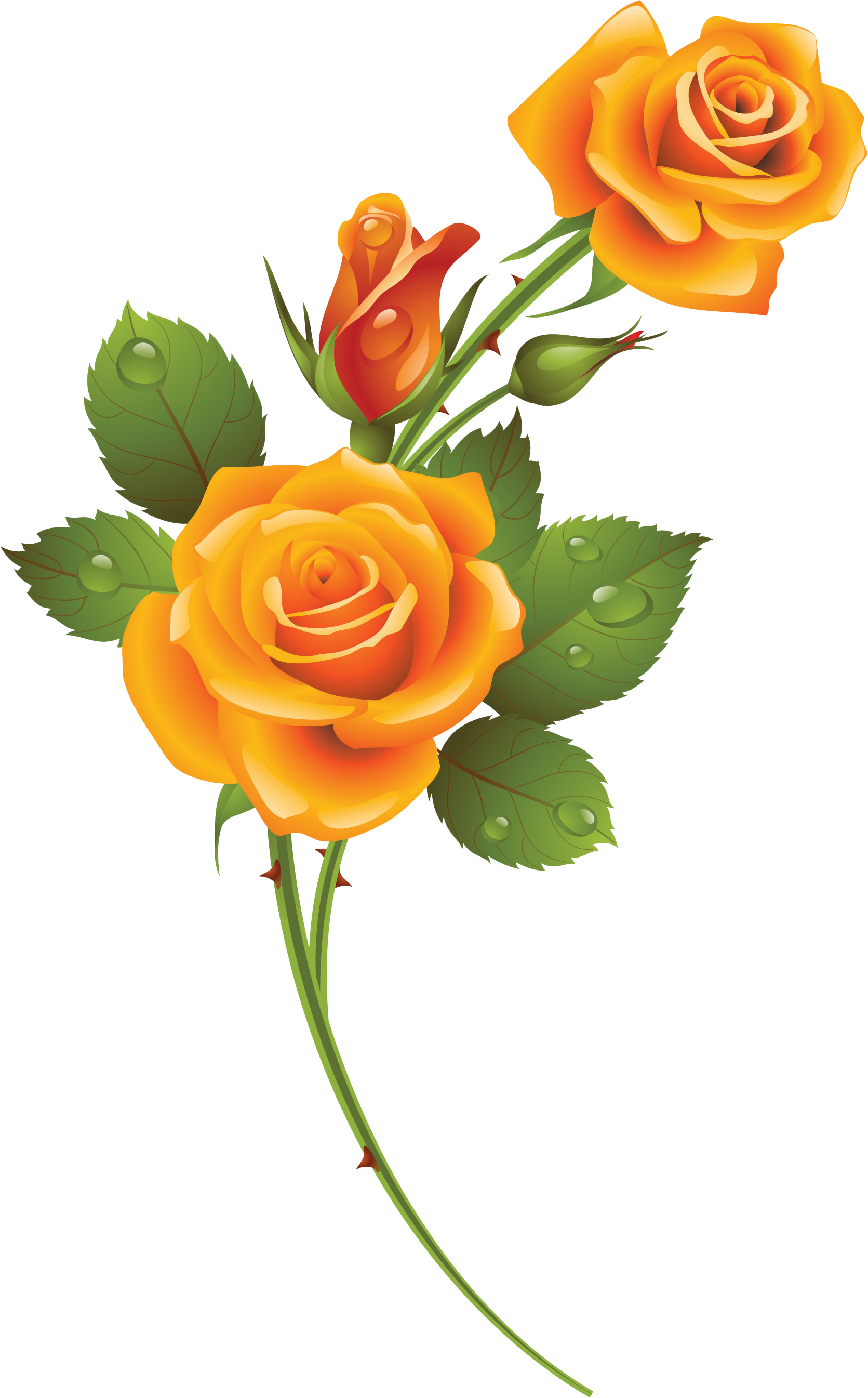 Yellow Rose - Rose (1671x2690)