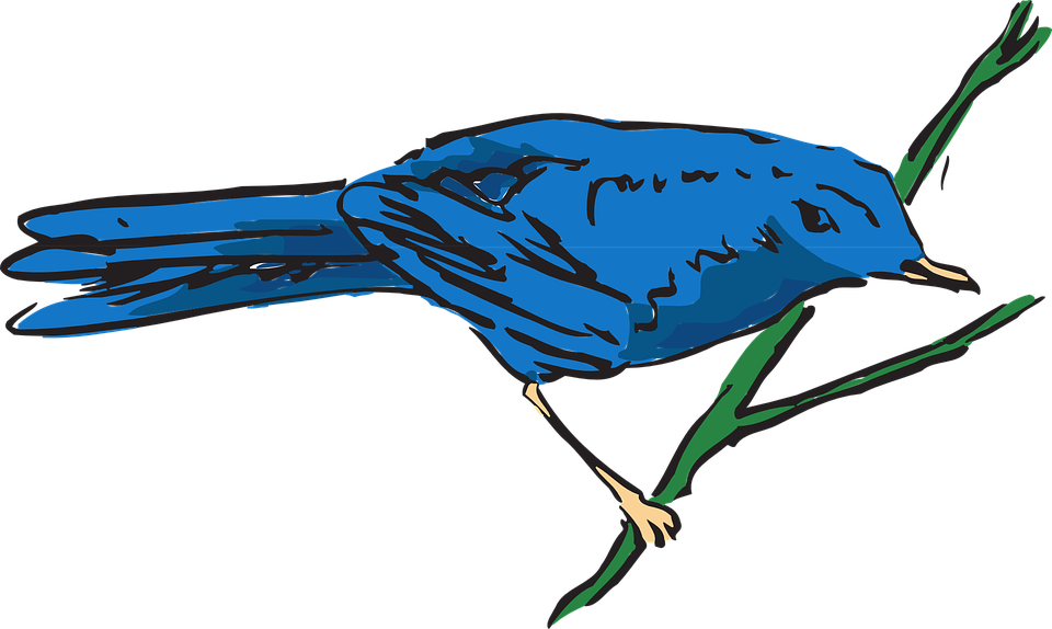 Blue, Bird, Wings, Stem, Feathers, Avian, Free Vector - Bird (1280x765)