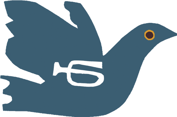 Bird Wings, Feathers, Feather - Mountain Bluebird (709x709)