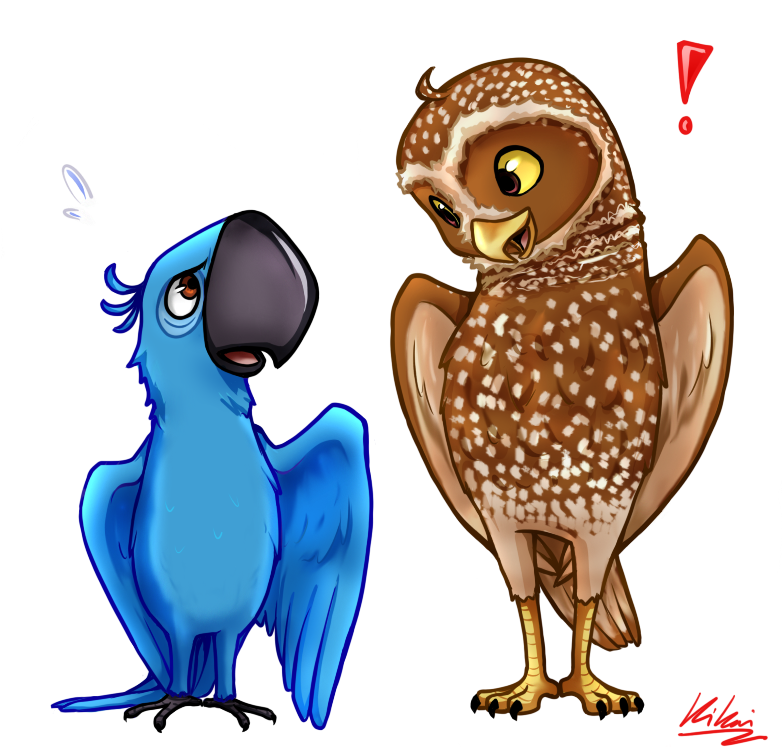 Birds Of A Feather By Kikaiart - All The Birds Of The Feathers (800x746)