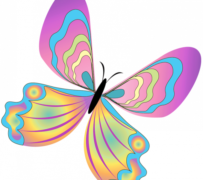 Png Free Clipart Png Clip Art Free Download Funny Butterfly - Butterfly Spring Clip Art (678x600)