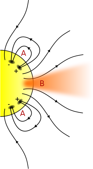 Coronal Hole Magnetic Field Lines-image Shows What - Coronal Holes And Solar Wind (300x542)