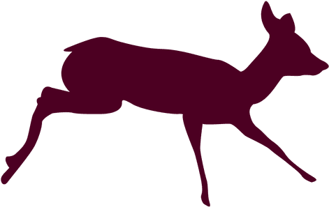 Deer Running Sequence 8 Transparent Png - Deer (512x512)