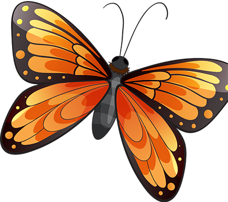 Butterfly - Colorful Butterfly Throw Blanket (455x403)