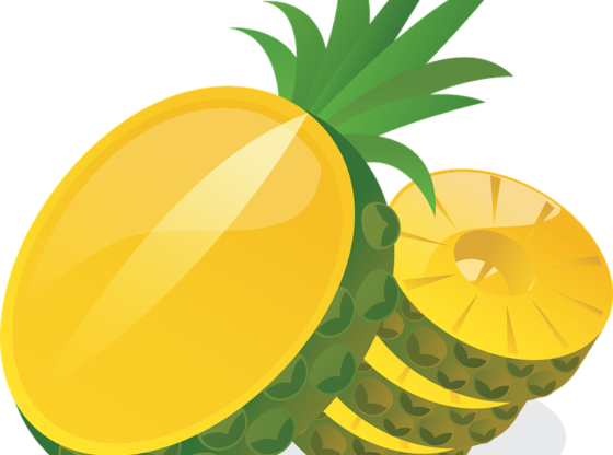 Montana Clipart Grape - Sliced Pineaple Clipart Png (560x416)