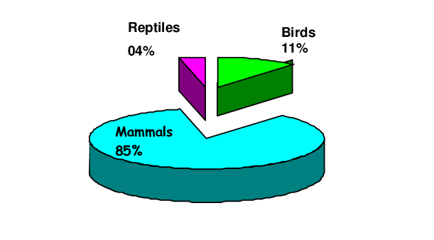 Proportions Of Left Over Food Items Found In The Nest - Diagram (611x338)