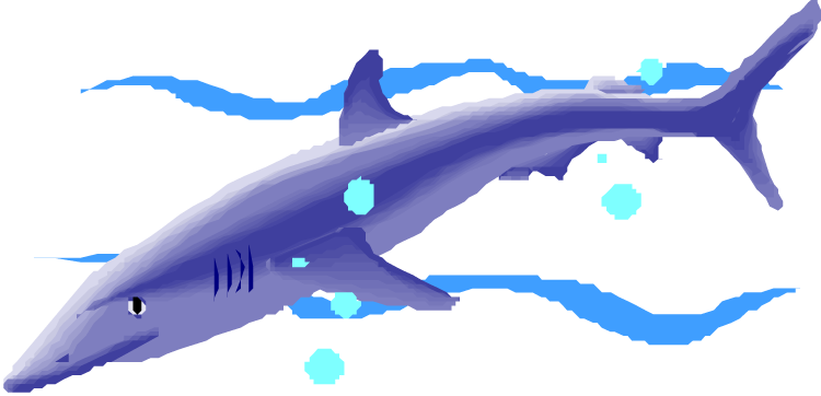 Great White Shark Clipart Purple - Shark (750x362)