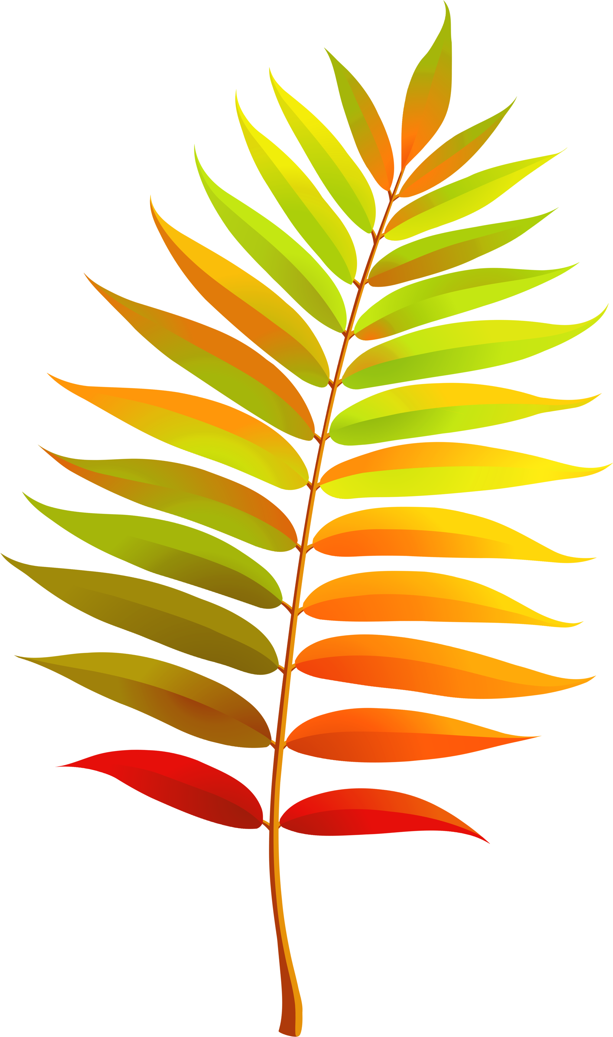 Colorful Transparent Fall Leaf Clipart - Leaves Clipart Transparent (2240x3520)