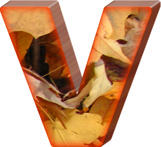 Fall Leaf Png Download - Fall Letter V (534x488)