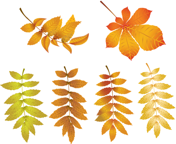 Autumn Leaves Png Transparent Clip Art Image - Autumn (600x484)