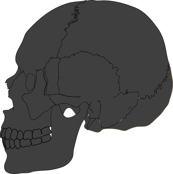 Skull (594x597)