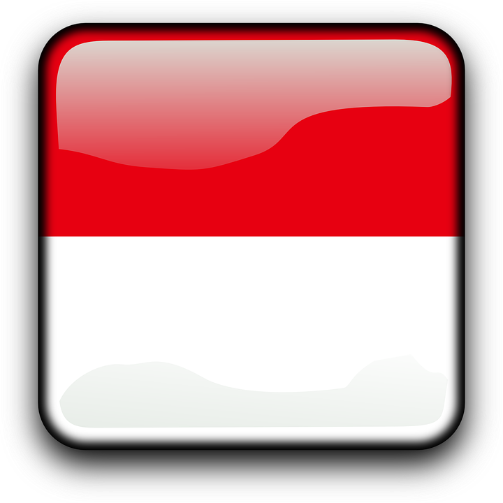Pin Clipart Dansk Flag - Indonesia Flag Square (800x800)