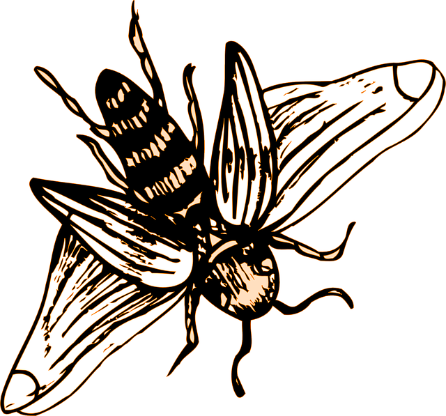 Drawing, Bee, Stripes, Wings, Art, Insect - Bee Drawing Png (640x597)