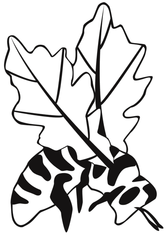 Oak City Bees - City (563x792)