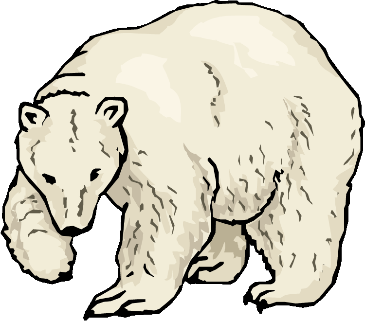 Bear Clipart Black And White - Clipart Polar Bear (750x660)