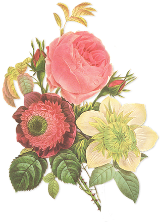 Garden Of Senses - Garden Of Senses (323x439)