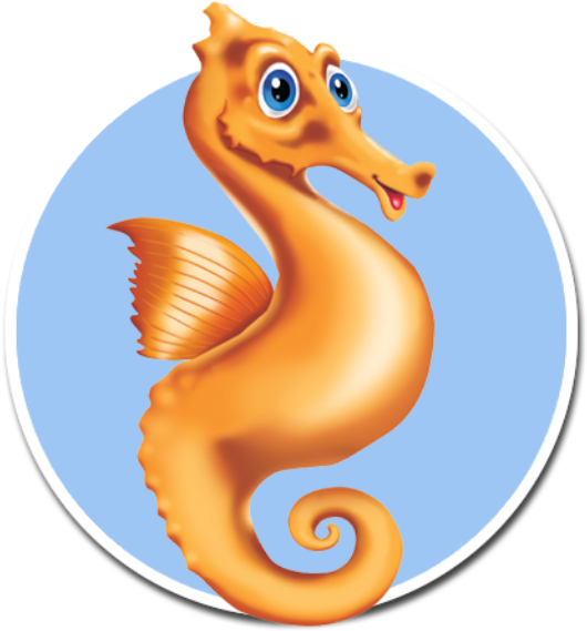 Sea Horse - Northern Seahorse (640x640)