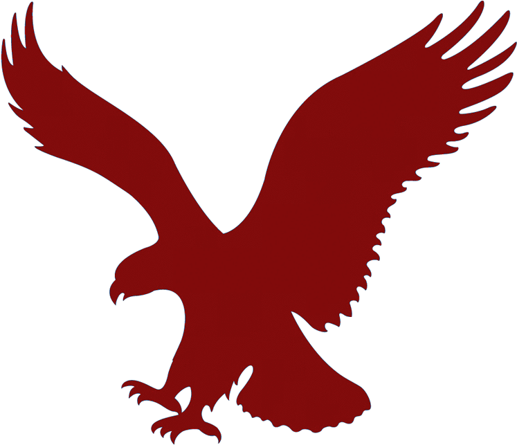 Red Eagle Army Pre-primary School - American Eagle Outfitters Logo (768x749)