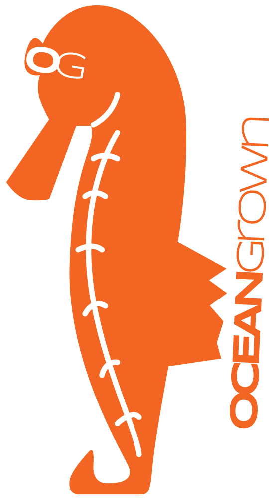 Ocean Grown Sticker Pack - Seahorse (559x1003)