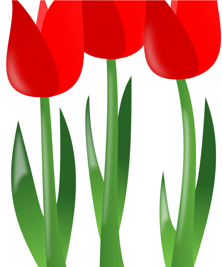 Free Spring Flower Clipart Free Download Best Free - Mothers Day Flowers Clipart (1368x855)