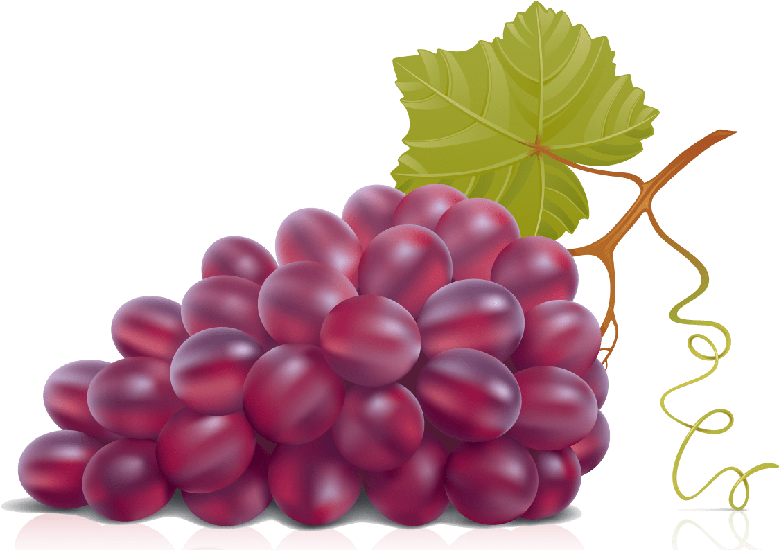 Red Grape Vector Png (1201x809)
