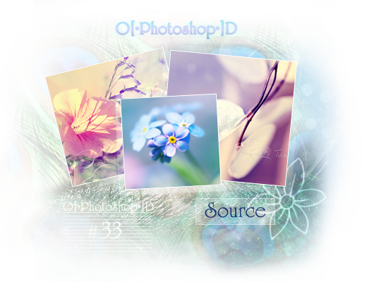 I65 - Beon - - Jpeg I65 - Beon - - Jpeg - - Columbine (530x400)