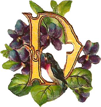 Free Digital Victorian Drop Cap Letter 'f' With Flowers - Iris (455x430)