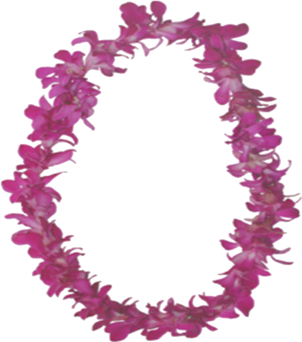 Purple Hawaiian Flower Clipart Download - Hawaiian Leis - Bulk Order Wholesale Discount Price (780x770)