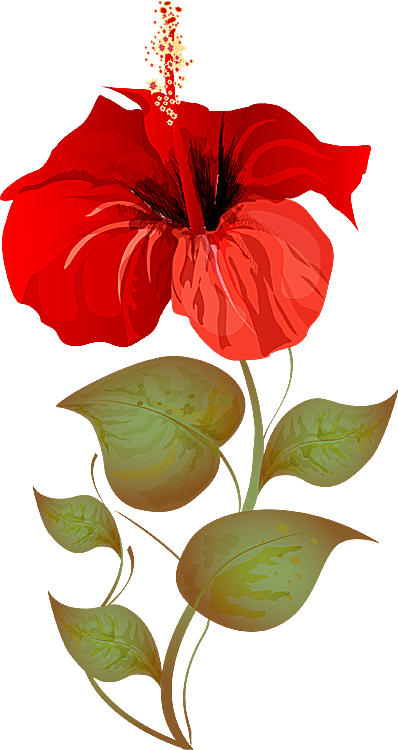A Bouquet Of Summer Flowers Clip Art - Flawar Clip Arts (398x750)