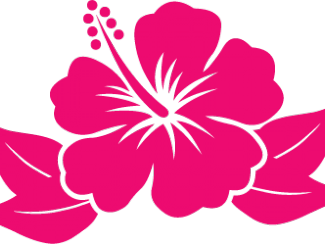 Hawaiian Flower Cartoon - Black And White Hibiscus Clipart (640x480)