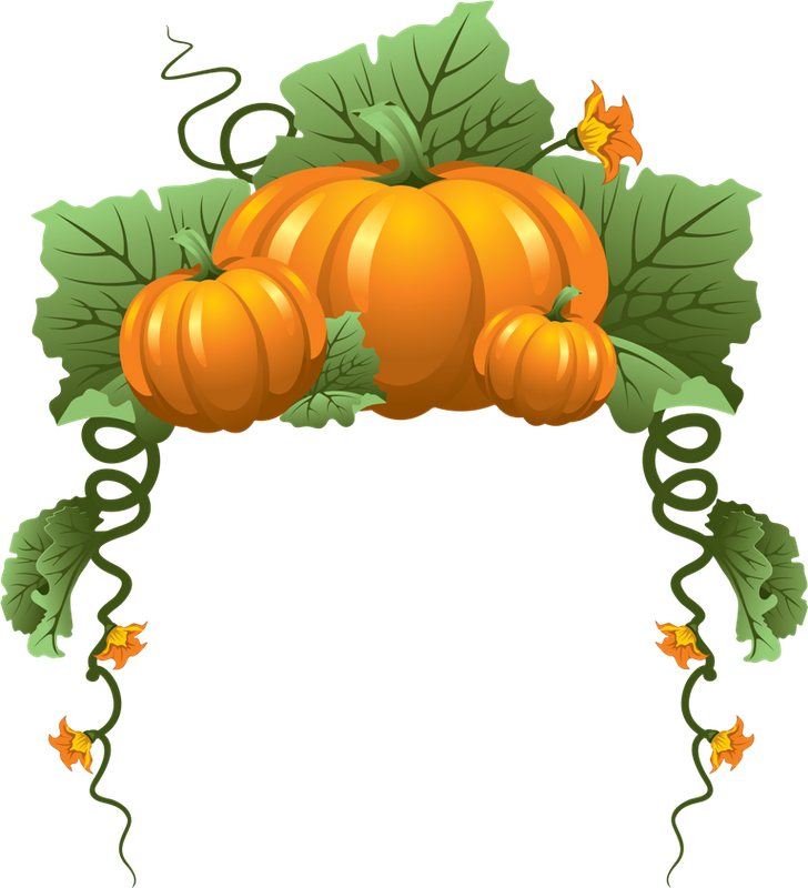 Go To Image - Pumpkin Vine Border (728x800)