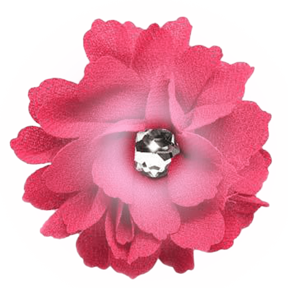 Hot Pink Flower - Pink Flowers (1000x1000)