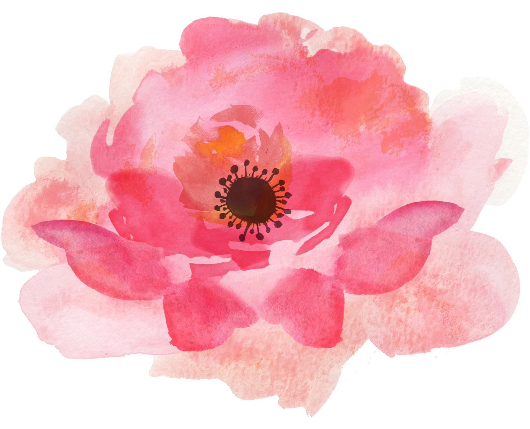 1 - Watercolor Flowers Transparent Background (1848x1548)