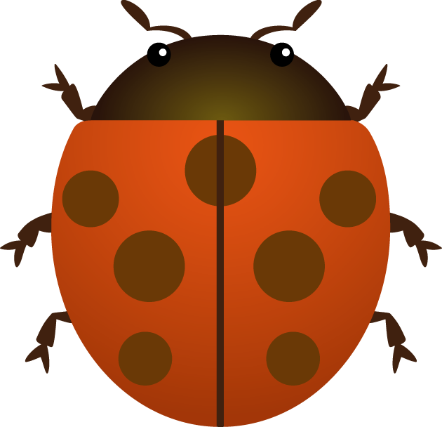 Ladybird Beetle Clip Art - Ladybird Beetle (630x608)
