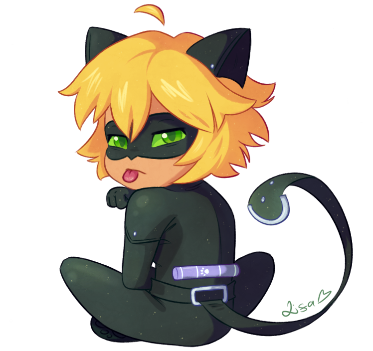 Miraculous Ladybug Miraculous Tales Of Ladybug & Cat - Miraculous: Tales Of Ladybug & Cat Noir (900x850)
