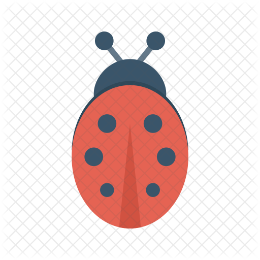 Ladybird Icon - Ladybird Beetle (512x512)