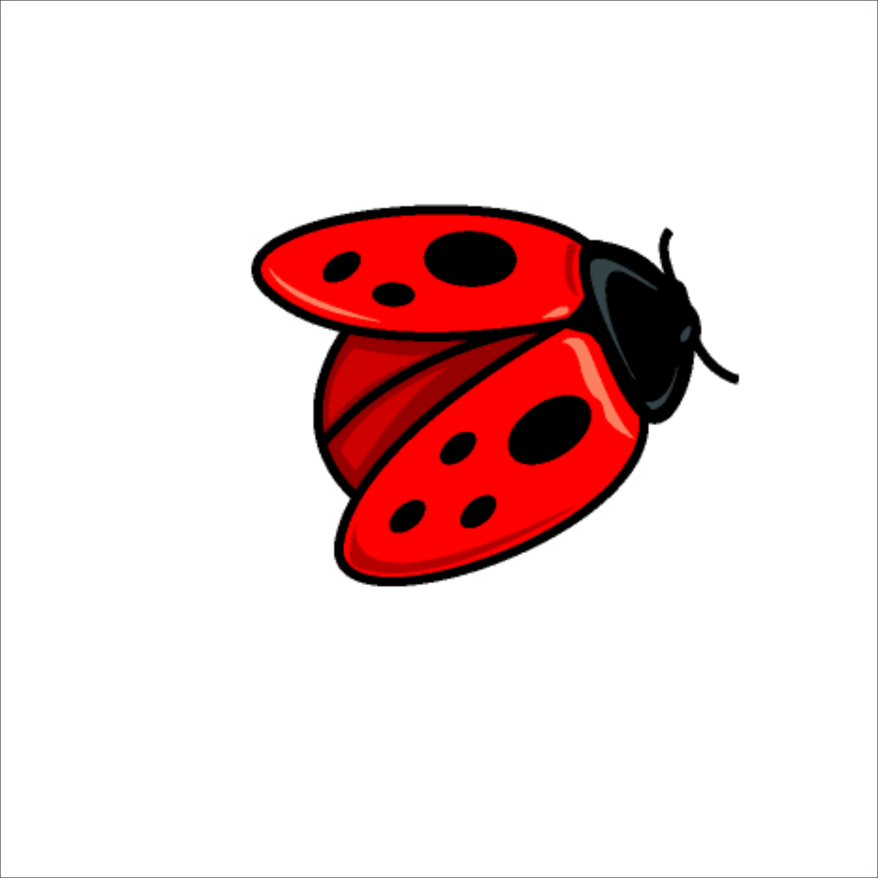 Beetle Coccinella Septempunctata Free Ladybird Drawing - Ladybug Dibujos Animados (1773x1773)